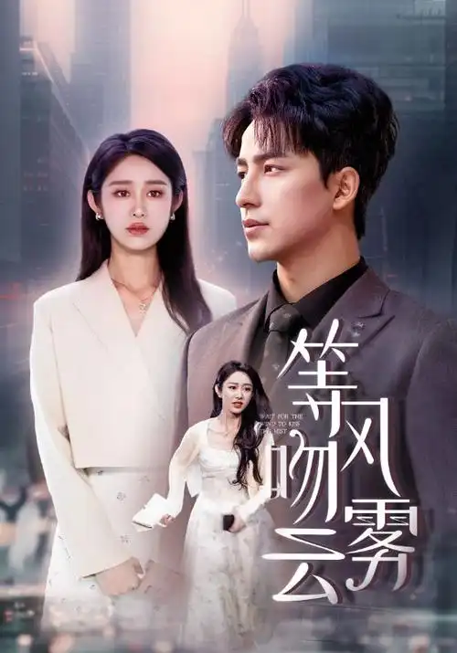 幸福到万家 现实题材